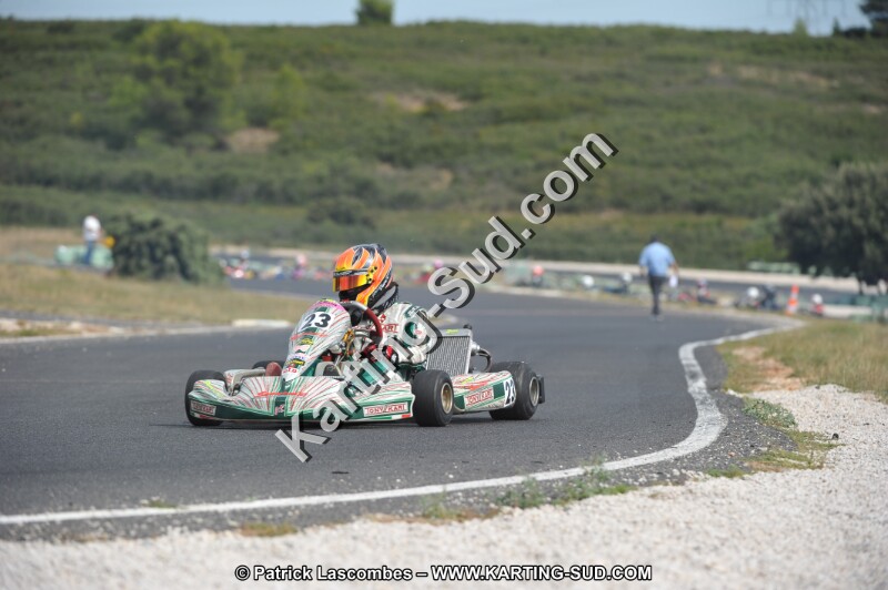 DSC (3576).JPG